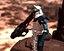 Klonen Schwerer Trooper