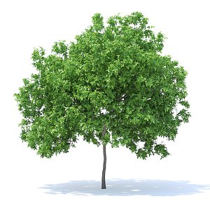 3D lemon tree 4 4m