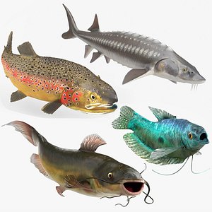 Freshwater Fish Rigged for Cinema 4D Collection