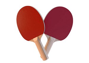 3D table tennis paddle