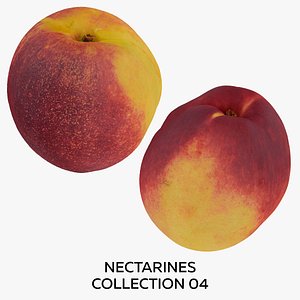 Nectarines Collection 04 - 2 models RAW Scans 3D model