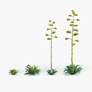 Mescal agave