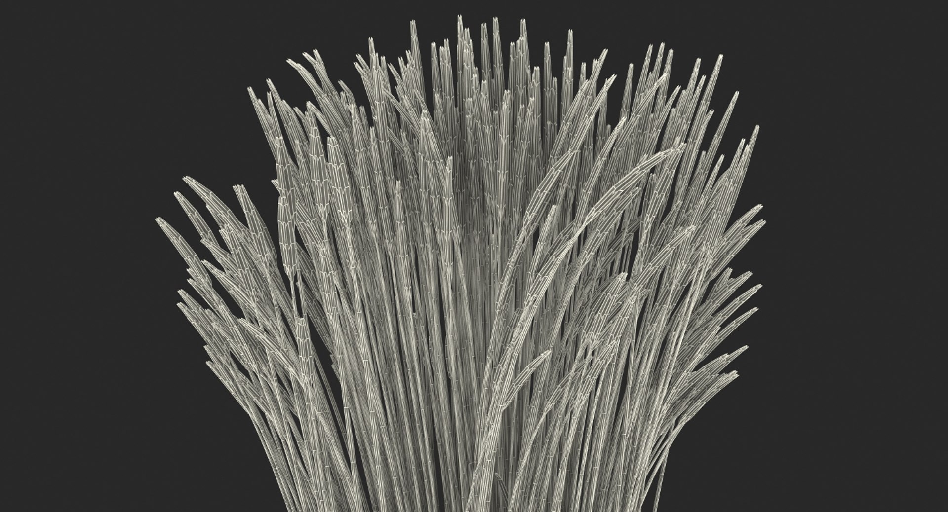 feather reed grass karl 3D https://p.turbosquid.com/ts-thumb/3k/TWunvO/2gzZvrVr/featherreedgrasskarlfoerster3dsmodel015/jpg/1511159597/1920x1080/fit_q87/6931ec7f2c2683e11f41f3e2675641b9ccbc9fff/featherreedgrasskarlfoerster3dsmodel015.jpg
