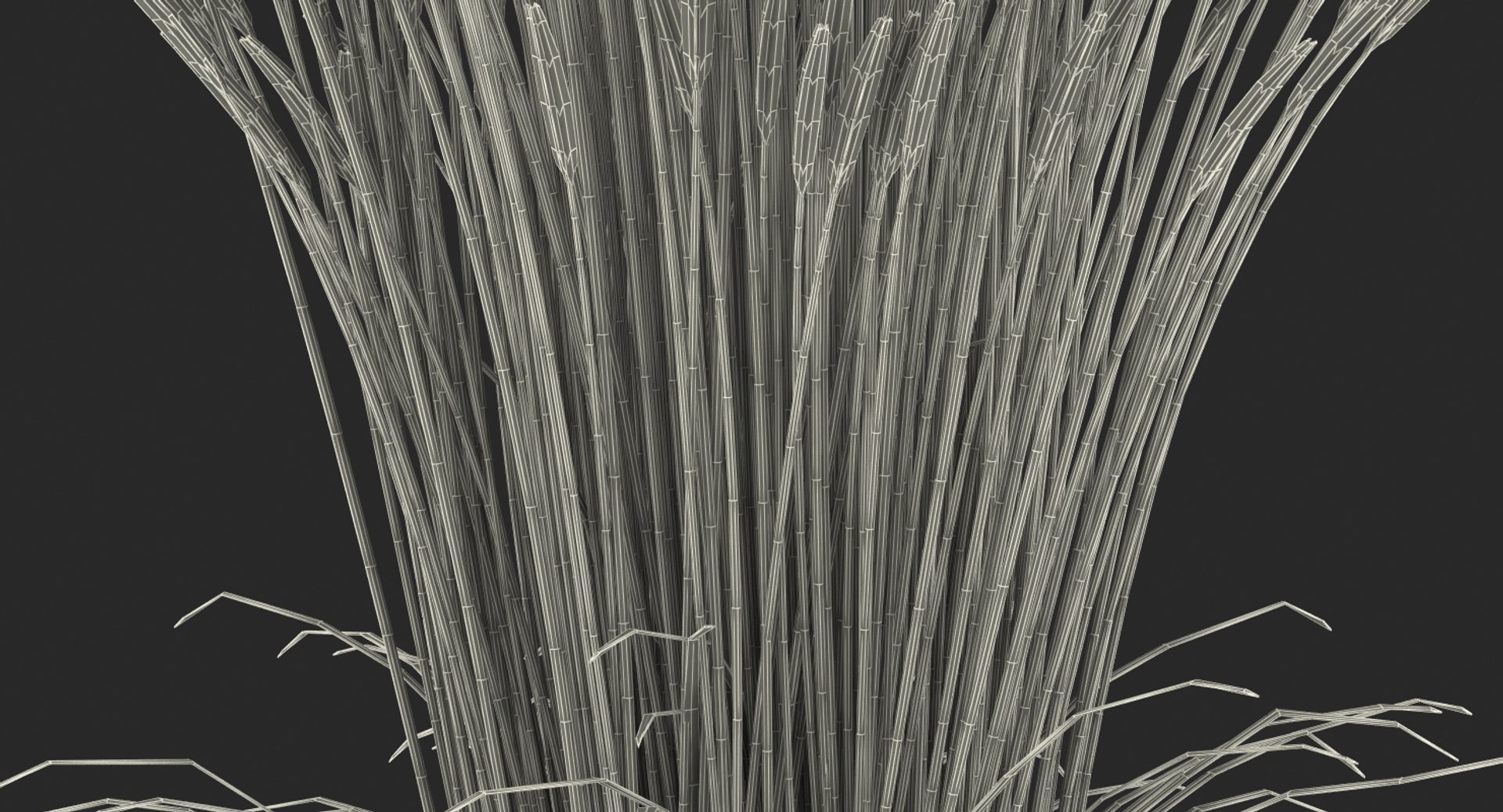 feather reed grass karl 3D https://p.turbosquid.com/ts-thumb/3k/TWunvO/BaQpPL5O/featherreedgrasskarlfoerster3dsmodel014/jpg/1511159593/1920x1080/fit_q87/7441b944f14eaa958a4bbf8c71a75611f6b51f9b/featherreedgrasskarlfoerster3dsmodel014.jpg