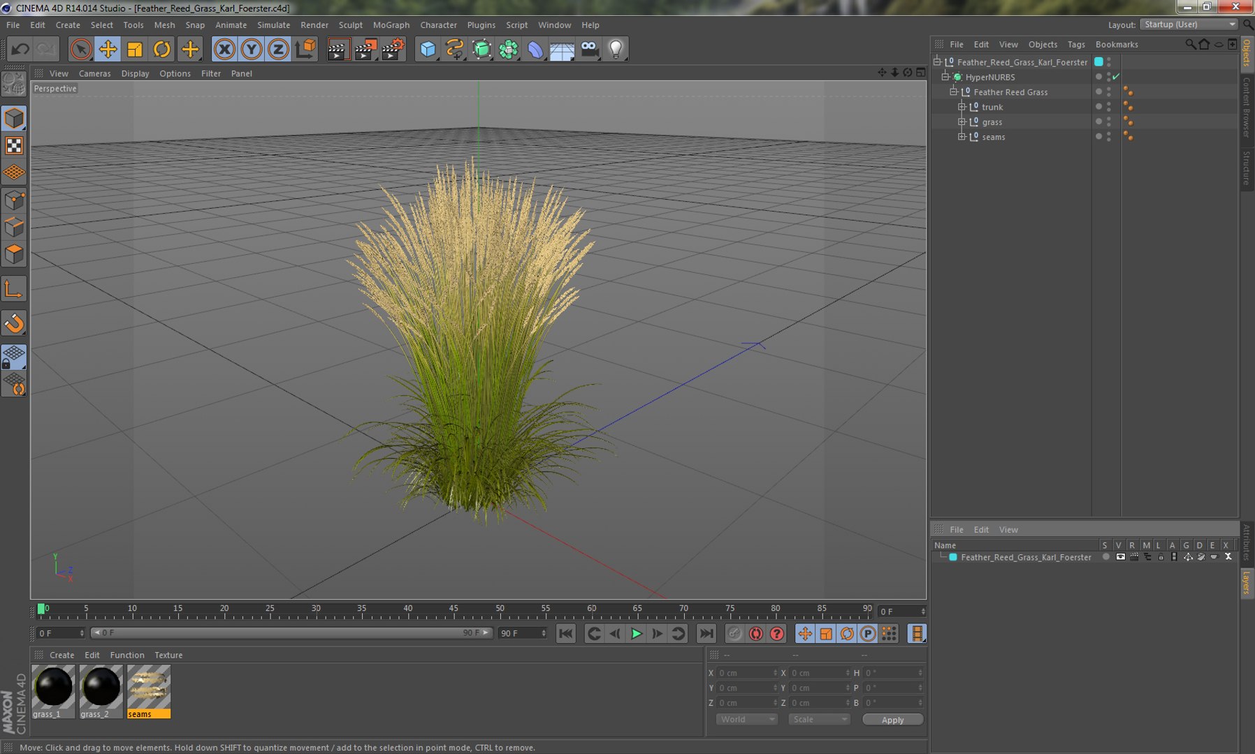 feather reed grass karl 3D https://p.turbosquid.com/ts-thumb/3k/TWunvO/ew4VAmPo/featherreedgrasskarlfoerster3dsmodel012/jpg/1511159585/1920x1080/fit_q87/e4d74af0dc13c38beffbac4a547ab202ab995bae/featherreedgrasskarlfoerster3dsmodel012.jpg