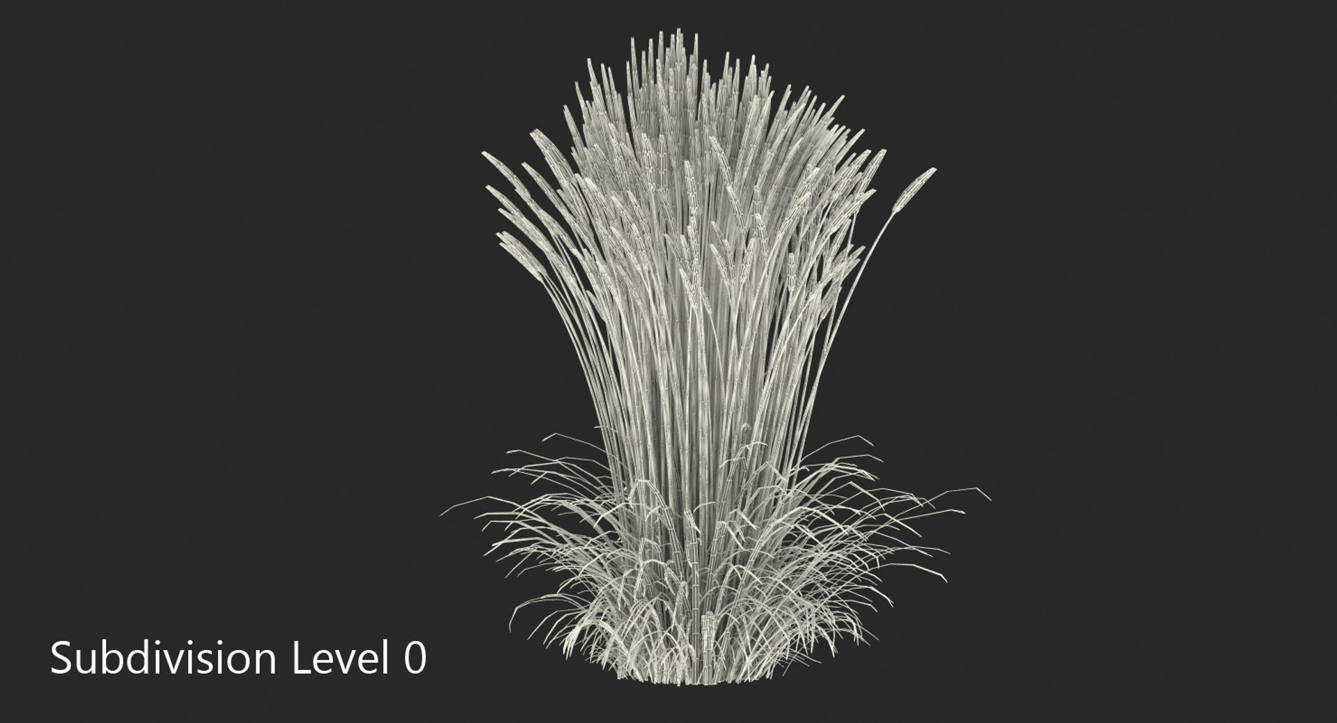 feather reed grass karl 3D https://p.turbosquid.com/ts-thumb/3k/TWunvO/iLXCpMpB/featherreedgrasskarlfoerster3dsmodel007/jpg/1511159570/1920x1080/fit_q87/76d443323092011579bbbb6945ee269d28b8d23c/featherreedgrasskarlfoerster3dsmodel007.jpg