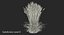 Feather Reed Grass Karl Foerster