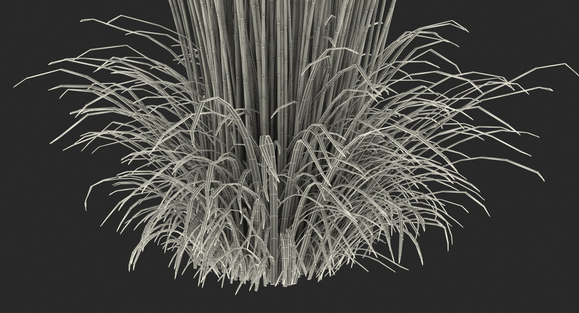 feather reed grass karl 3D https://p.turbosquid.com/ts-thumb/3k/TWunvO/mRDrRDsu/featherreedgrasskarlfoerster3dsmodel013/jpg/1511159589/1920x1080/fit_q87/e7662be8f07843480a614f691f693ee8fb1a810f/featherreedgrasskarlfoerster3dsmodel013.jpg