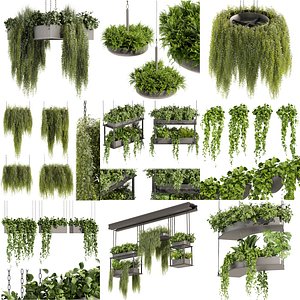 Collection plant vol 02- hanging - ampelous - bush - Cinema 4d - 3dsmax