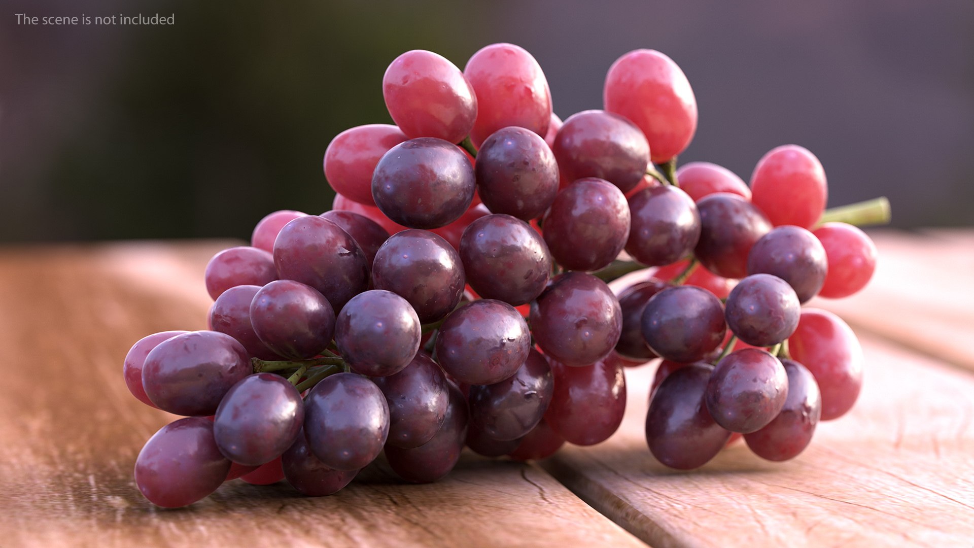 3D model Winery Products Collection 2 https://p.turbosquid.com/ts-thumb/3k/cL0BN8/F8/wineryproductscollection2c4dmodel011/jpg/1656530462/1920x1080/fit_q87/1d2c7575ed2cbb4813d66d90241020e1f324a49f/wineryproductscollection2c4dmodel011.jpg