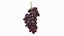 Winery Products Collection 2