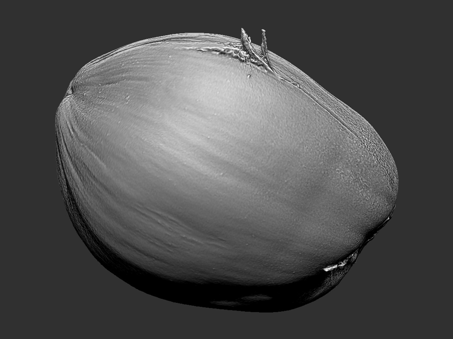 Real Coconut Pack 5 3D - TurboSquid 1253472