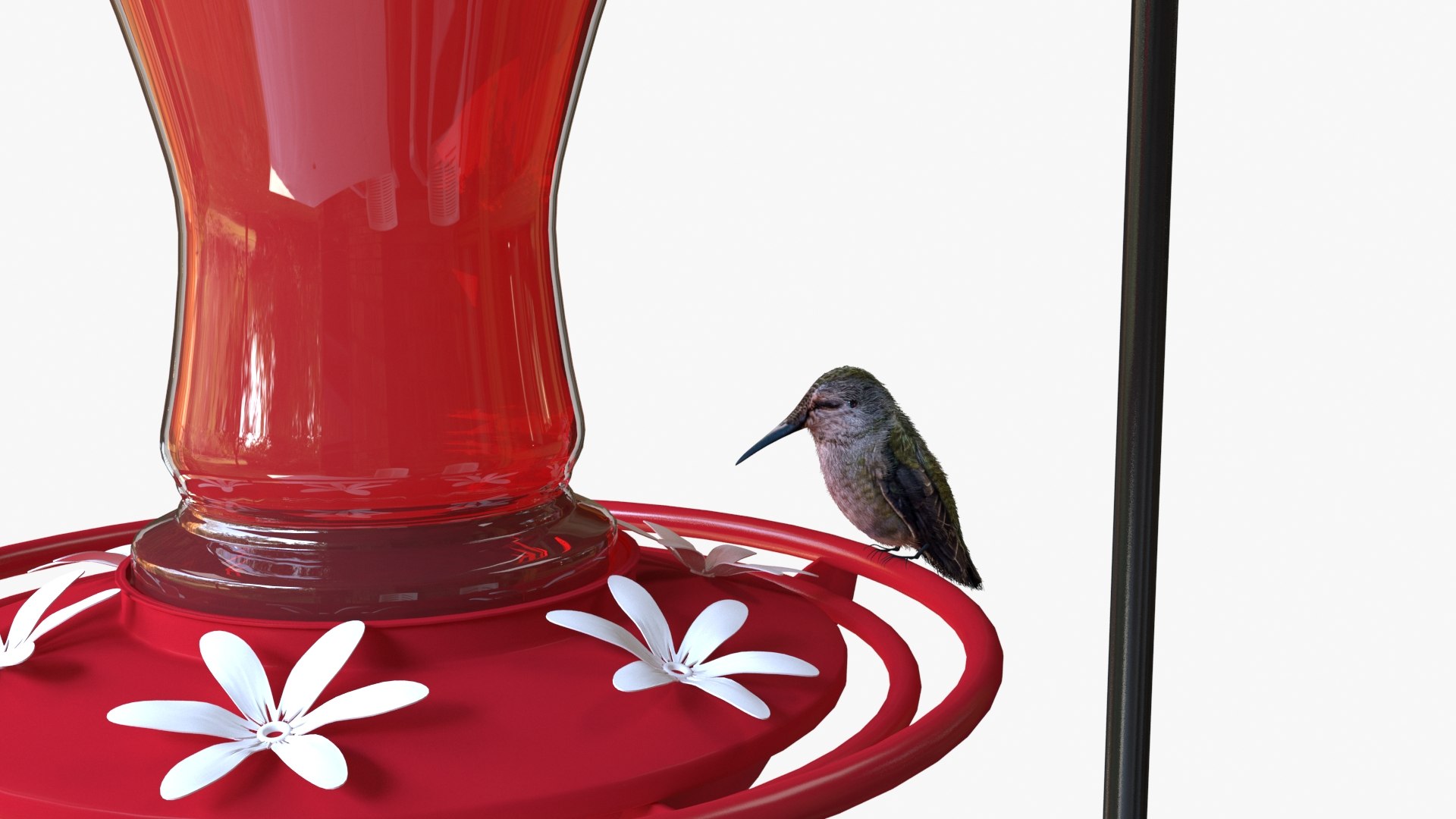 hummingbird feeder bird 3D https://p.turbosquid.com/ts-thumb/3k/rKcUKU/4MgCG78R/hummingbirdfeeder_04/jpg/1567853791/1920x1080/fit_q87/d325e567df76ba0ead73c0a0f9d3d9bcb1bb6e3b/hummingbirdfeeder_04.jpg