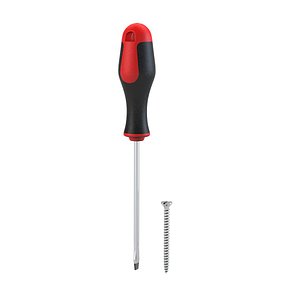Flat Screwdriver & Screw Set