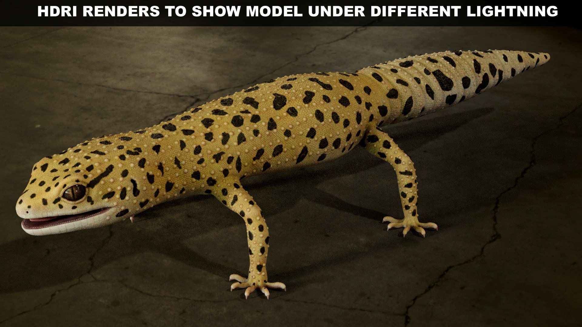 HQ Leopard Gecko 3D model https://p.turbosquid.com/ts-thumb/3l/CM0EBf/Cp/s34copy/jpg/1754803489/1920x1080/fit_q87/f62351c37b02f5bdbd3b01341a2de329ee6cabe7/s34copy.jpg