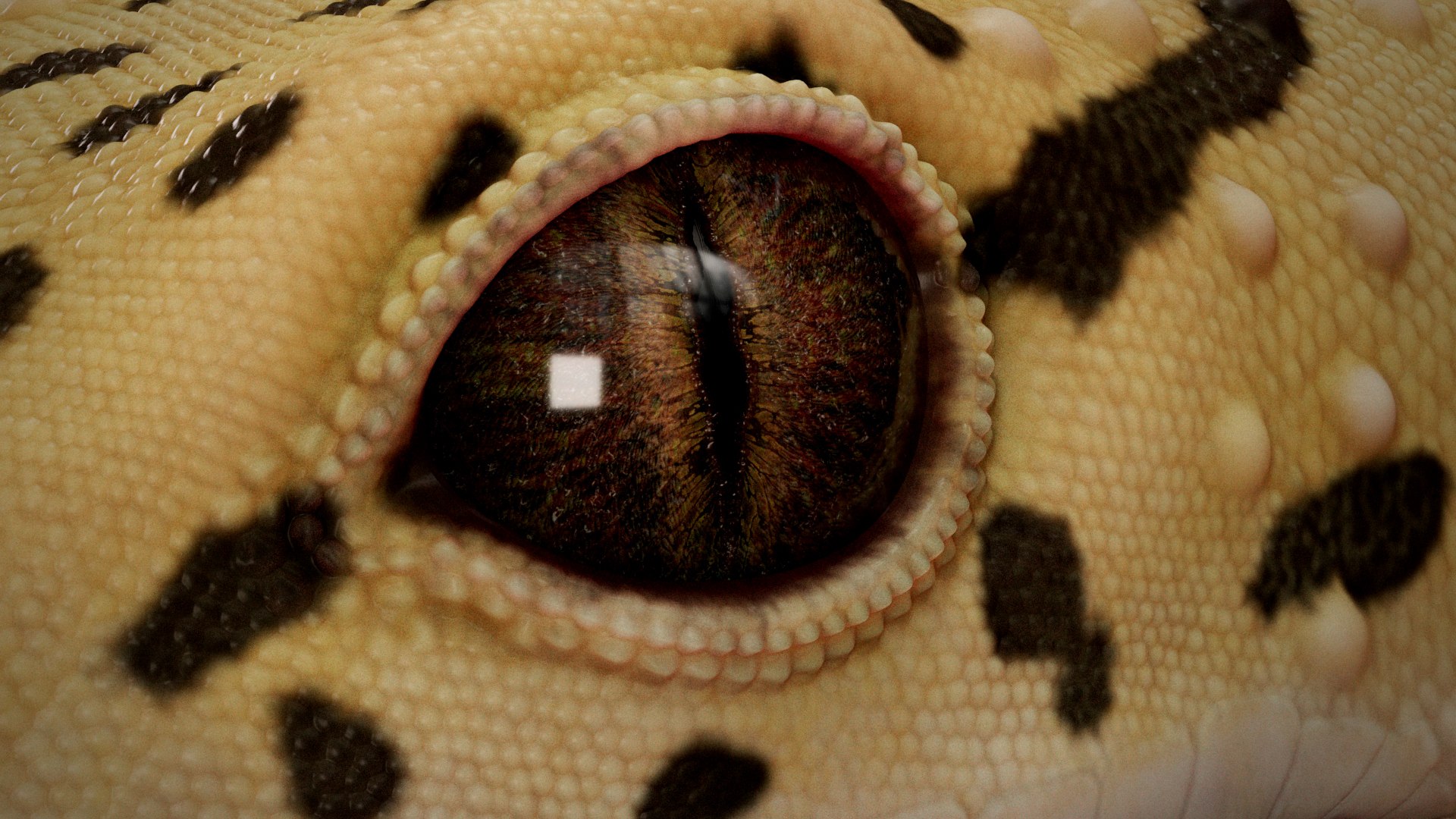 HQ Leopard Gecko 3D model https://p.turbosquid.com/ts-thumb/3l/CM0EBf/DP/s2copy/jpg/1754803474/1920x1080/fit_q87/04301af20fce698991049da0ffb17af848ec7fc1/s2copy.jpg