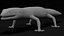 HQ Leopard Gecko 3D model