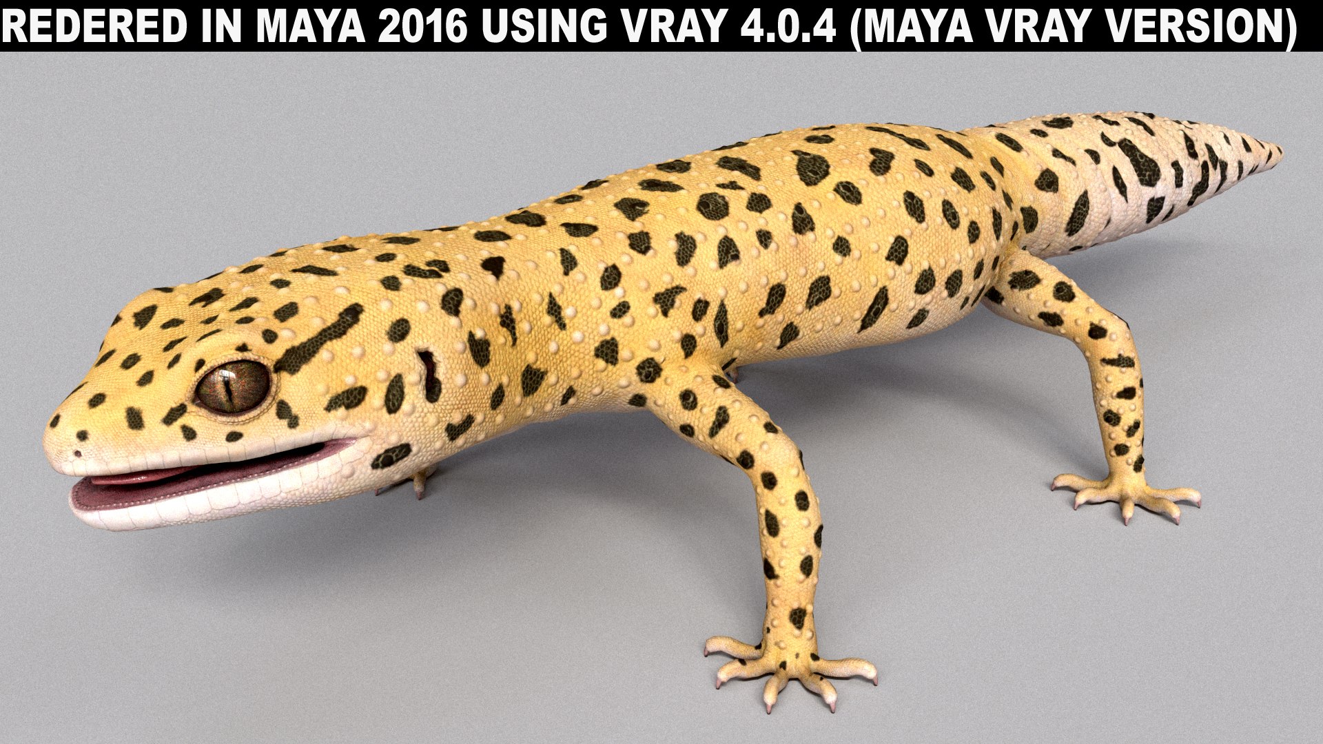HQ Leopard Gecko 3D model https://p.turbosquid.com/ts-thumb/3l/CM0EBf/Kg/s41vray/jpg/1754805037/1920x1080/fit_q87/43dffe73bf79baee1238cf6dab6cdbc0177d757a/s41vray.jpg