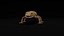 HQ Leopard Gecko