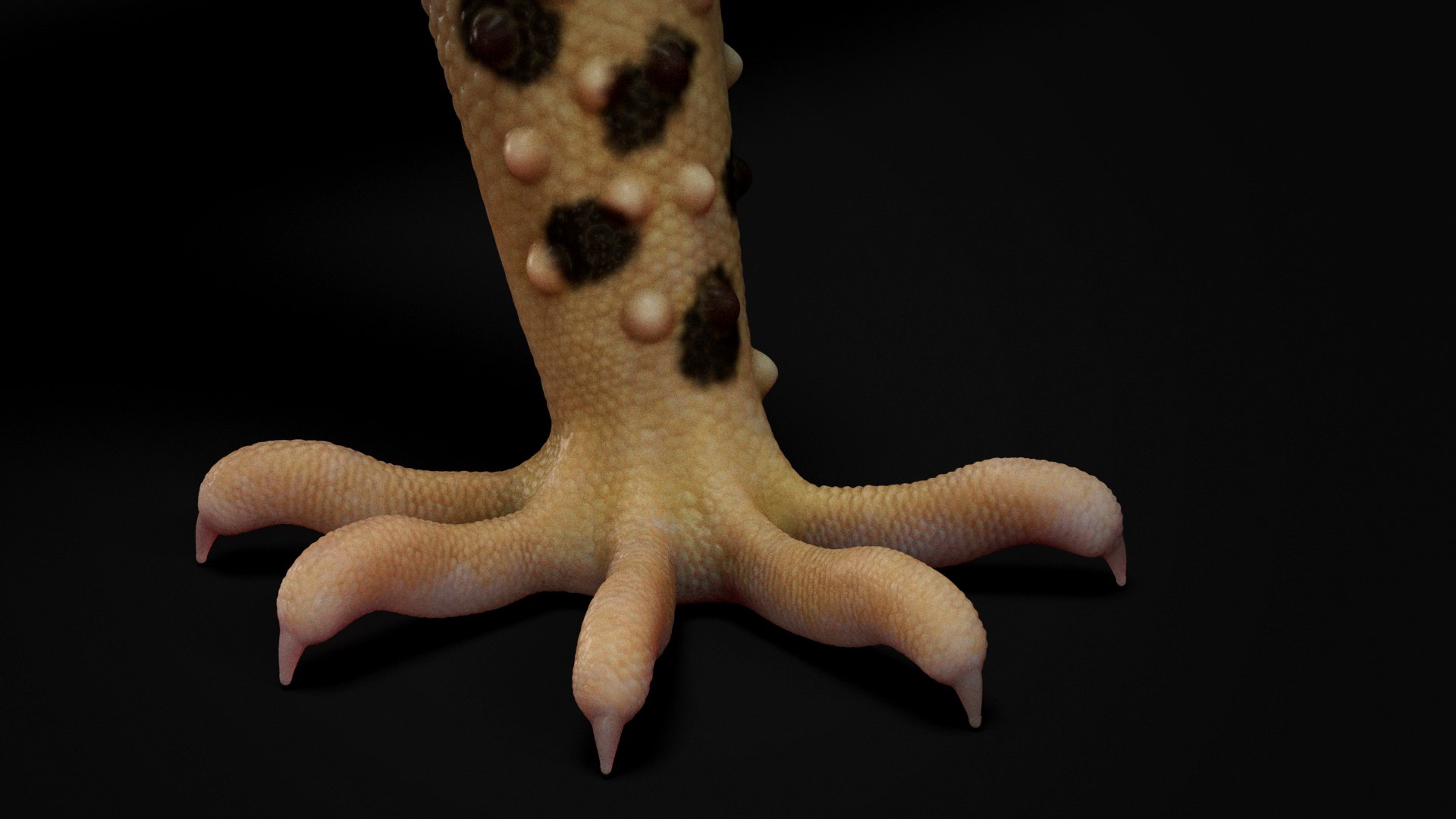 HQ Leopard Gecko 3D model https://p.turbosquid.com/ts-thumb/3l/CM0EBf/uA/s12copy/jpg/1754803482/1920x1080/fit_q87/d3fe8854803496c3e167d1f7f39b5b8dcb126561/s12copy.jpg