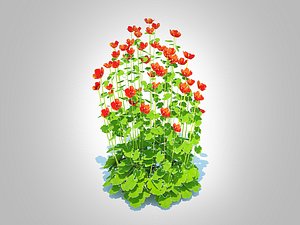 3D Geum -Totally Tangerine
