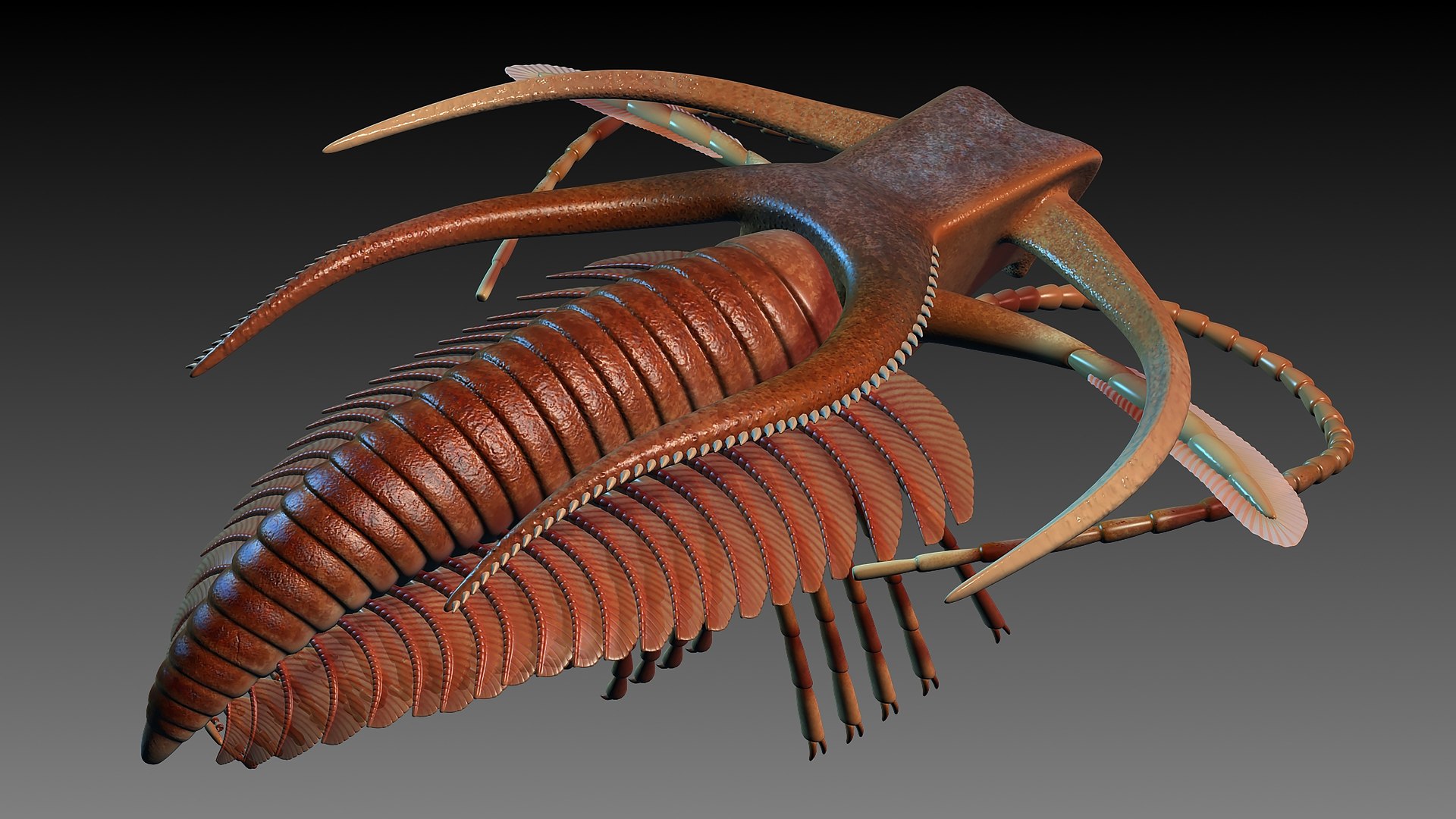 marrella splendens 3d max https://p.turbosquid.com/ts-thumb/3l/FlNl3f/LL/r02765767/jpg/1739331604/1920x1080/fit_q87/d12d80dbb078a84661ac753dbdc41c60fb7ac241/r02765767.jpg
