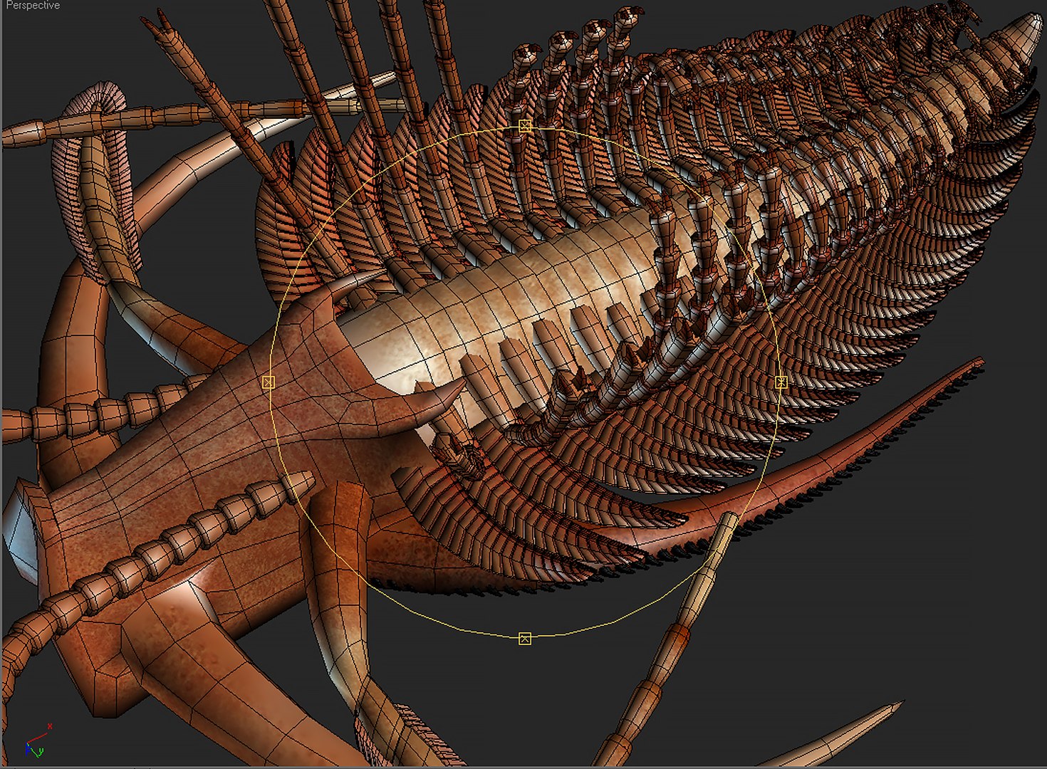 marrella splendens 3d max https://p.turbosquid.com/ts-thumb/3l/FlNl3f/kS/m02/jpg/1739331577/1920x1080/fit_q87/1d40c9cf5023597321b1a9536eea34cc82f153ce/m02.jpg