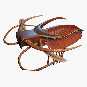 marrella splendens 3d max