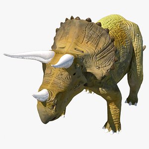 3D triceratops dinosaur