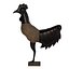 Rooster
