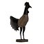 Rooster