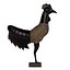 Rooster