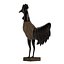 Rooster