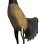 Rooster