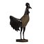 Rooster