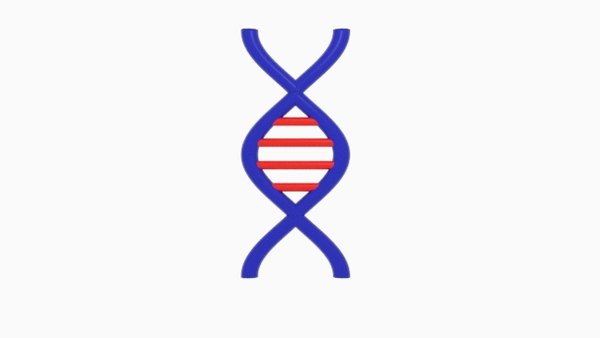 3D strant dna single - TurboSquid 1494271