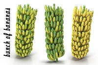 bunch of bananas