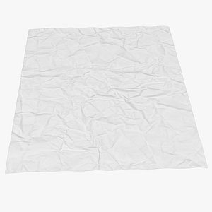 Crumpled Paper Sheet