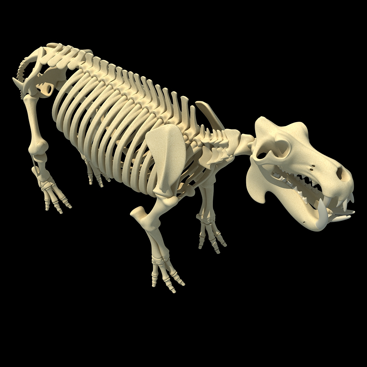 3dsmax hippopotamus river horse skeleton