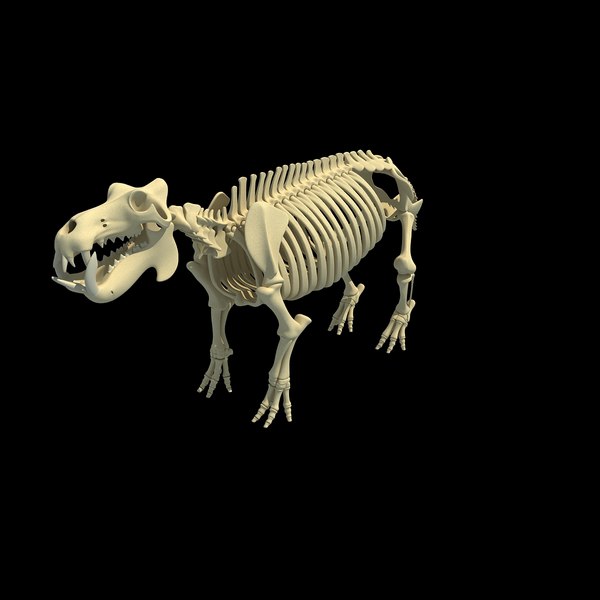 3dsmax hippopotamus river horse skeleton