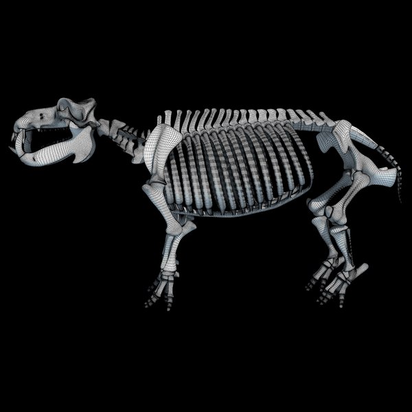 3dsmax hippopotamus river horse skeleton