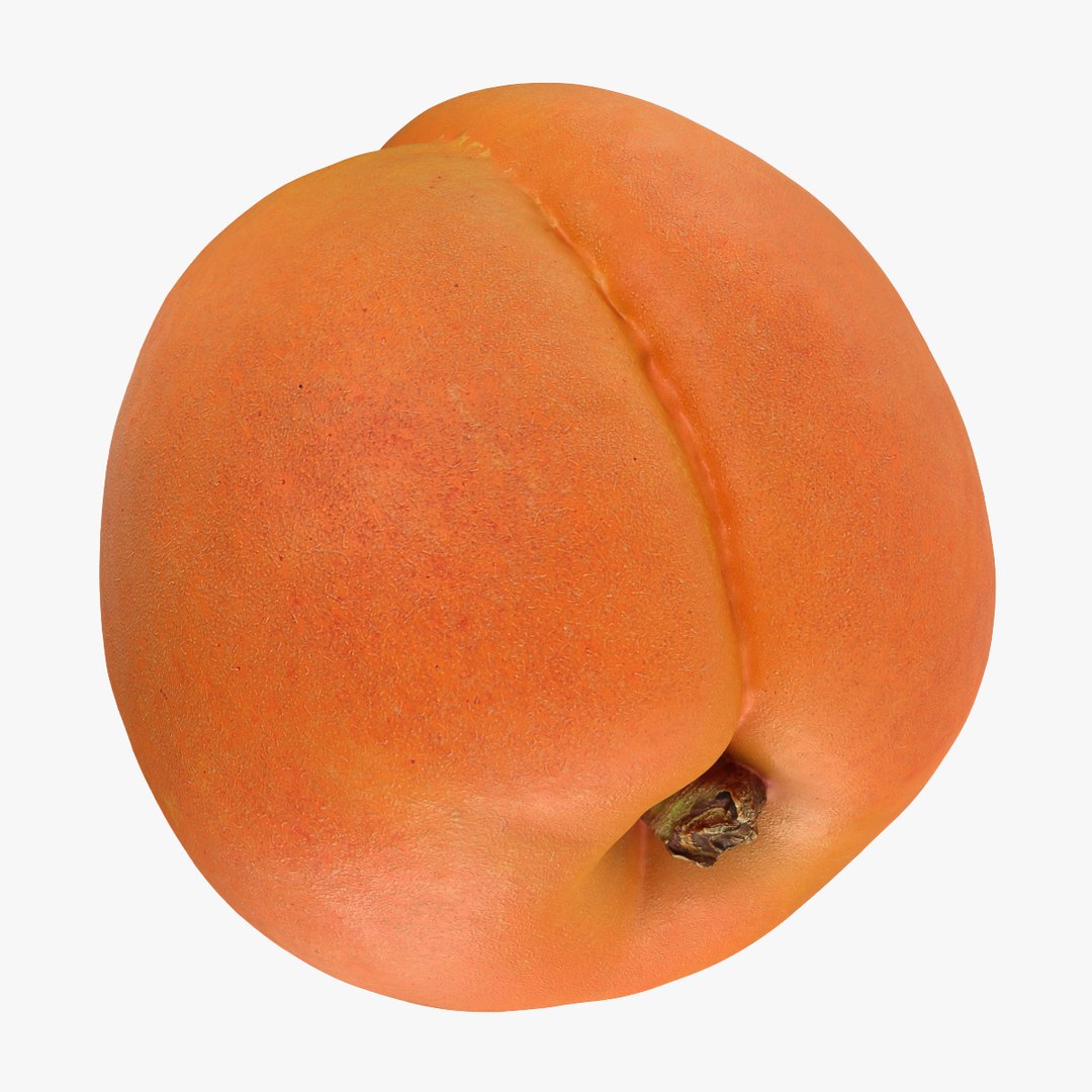 3D Whole Apricot Collection https://p.turbosquid.com/ts-thumb/3l/oEFwWb/84/apricot03_000/png/1784834733/1920x1080/fit_q87/e66eb78b0b7c0d6b83b215bd9408c7b24abe3b23/apricot03_000.jpg