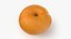 Whole Apricot Collection