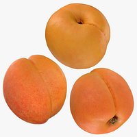 Whole Apricot Collection
