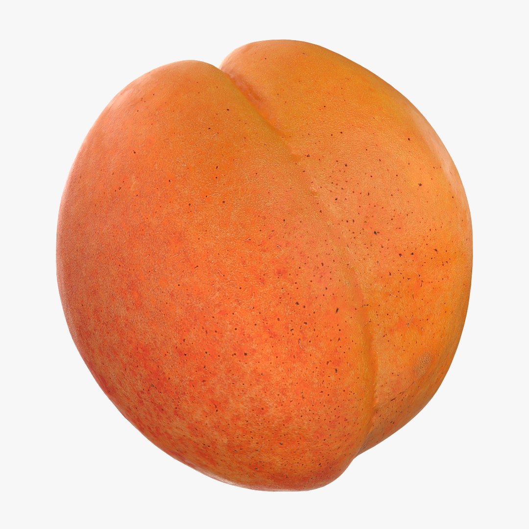 3D Whole Apricot Collection https://p.turbosquid.com/ts-thumb/3l/oEFwWb/PQ/apricot02_000/png/1784834673/1920x1080/fit_q87/a4a67596aab6d337f3bfb94fe3deb2af47466376/apricot02_000.jpg