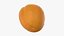 Whole Apricot Collection