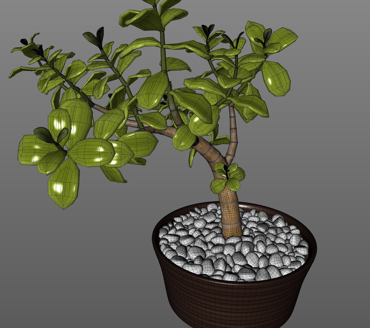 Jade Plant in Pot 3D https://p.turbosquid.com/ts-thumb/3l/w8gMIe/19/wire2/jpg/1718979952/1920x1080/fit_q87/df4afab23e993f36aec693484480ba0858d01b12/wire2.jpg