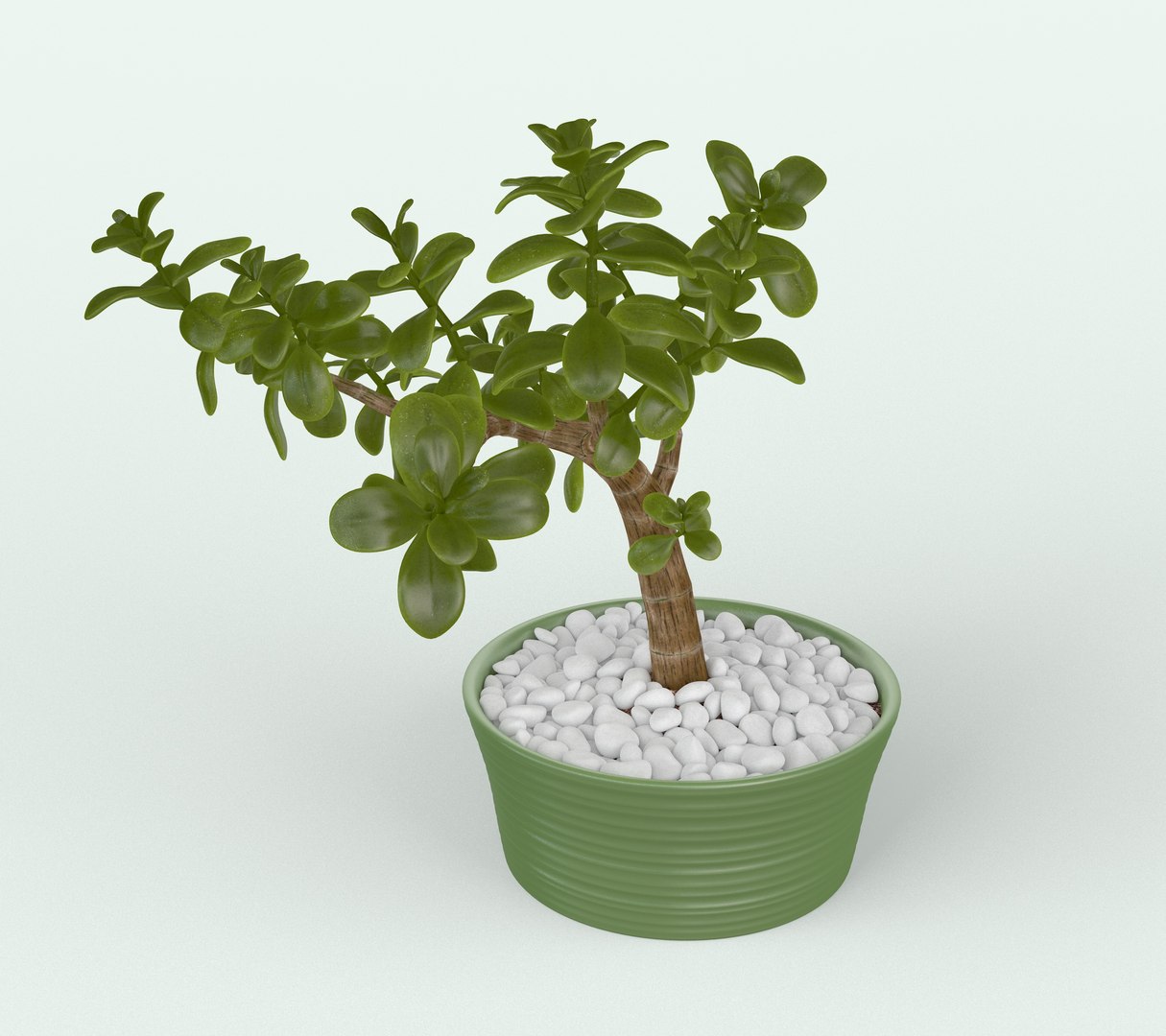 Jade Plant in Pot 3D https://p.turbosquid.com/ts-thumb/3l/w8gMIe/4D/jadeplant03/jpg/1718979949/1920x1080/fit_q87/aeac98db5eda3d6b5d82c6afd0e09944ed13397b/jadeplant03.jpg