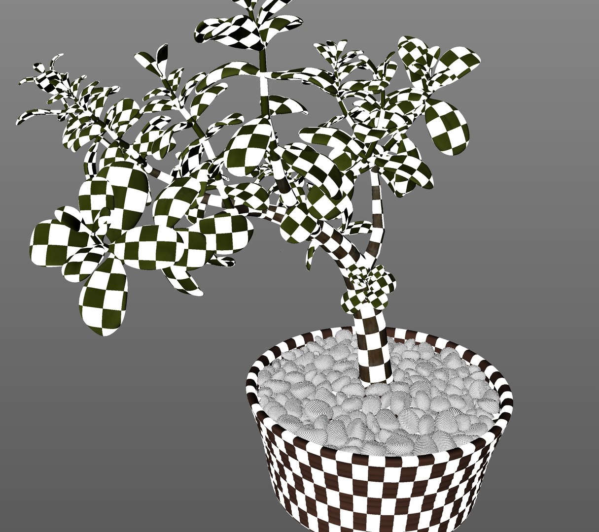 Jade Plant in Pot 3D https://p.turbosquid.com/ts-thumb/3l/w8gMIe/kH/uv/jpg/1718979951/1920x1080/fit_q87/908a496ae4f38134d0771fff00580ddf714de6bd/uv.jpg