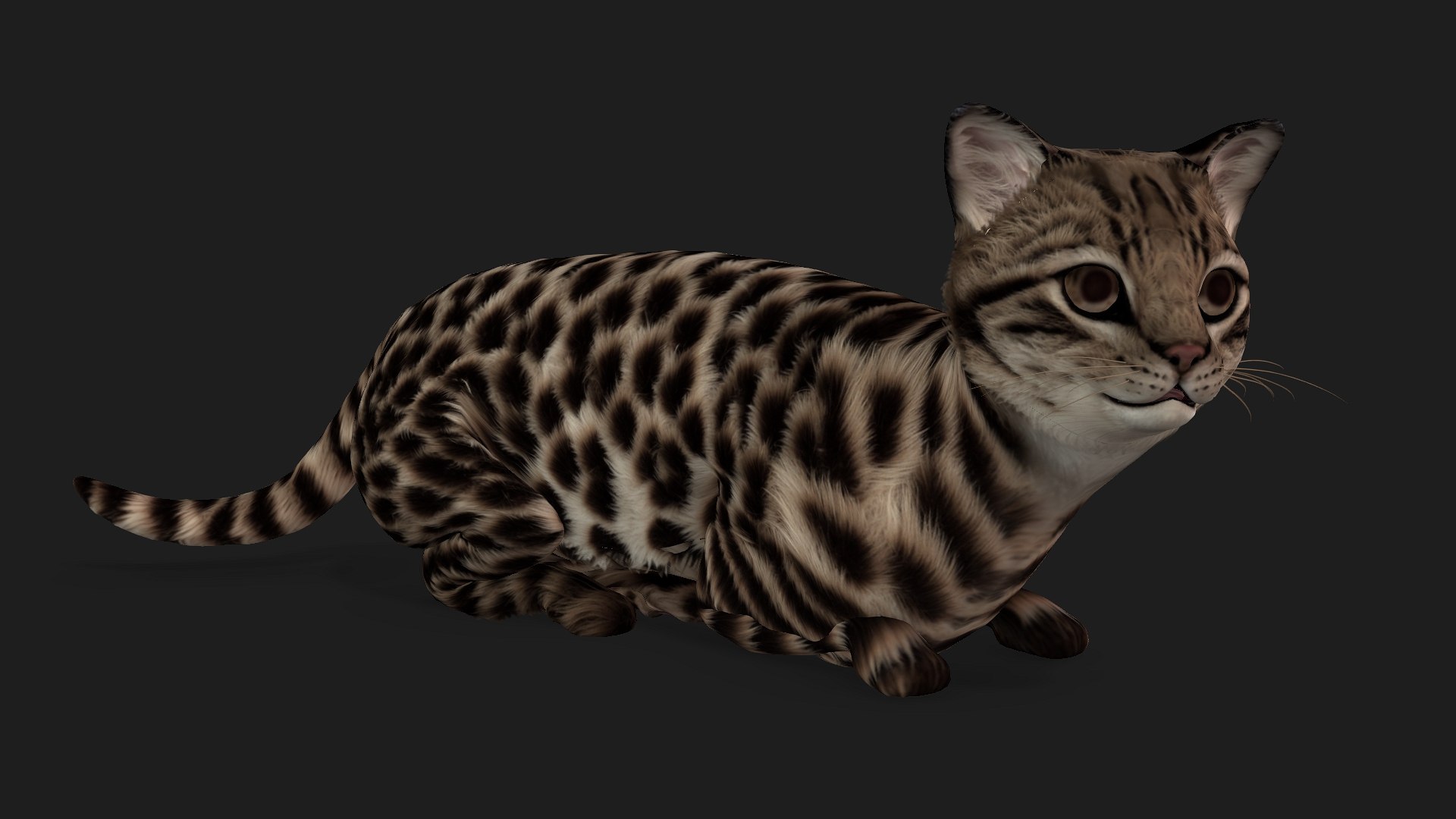 Leopard Cat-A1 model https://p.turbosquid.com/ts-thumb/3m/1tZ5YQ/hl/preview9/jpg/1752461642/1920x1080/fit_q87/6849d8244689226a377d284b0bdce17b2a4cb936/preview9.jpg